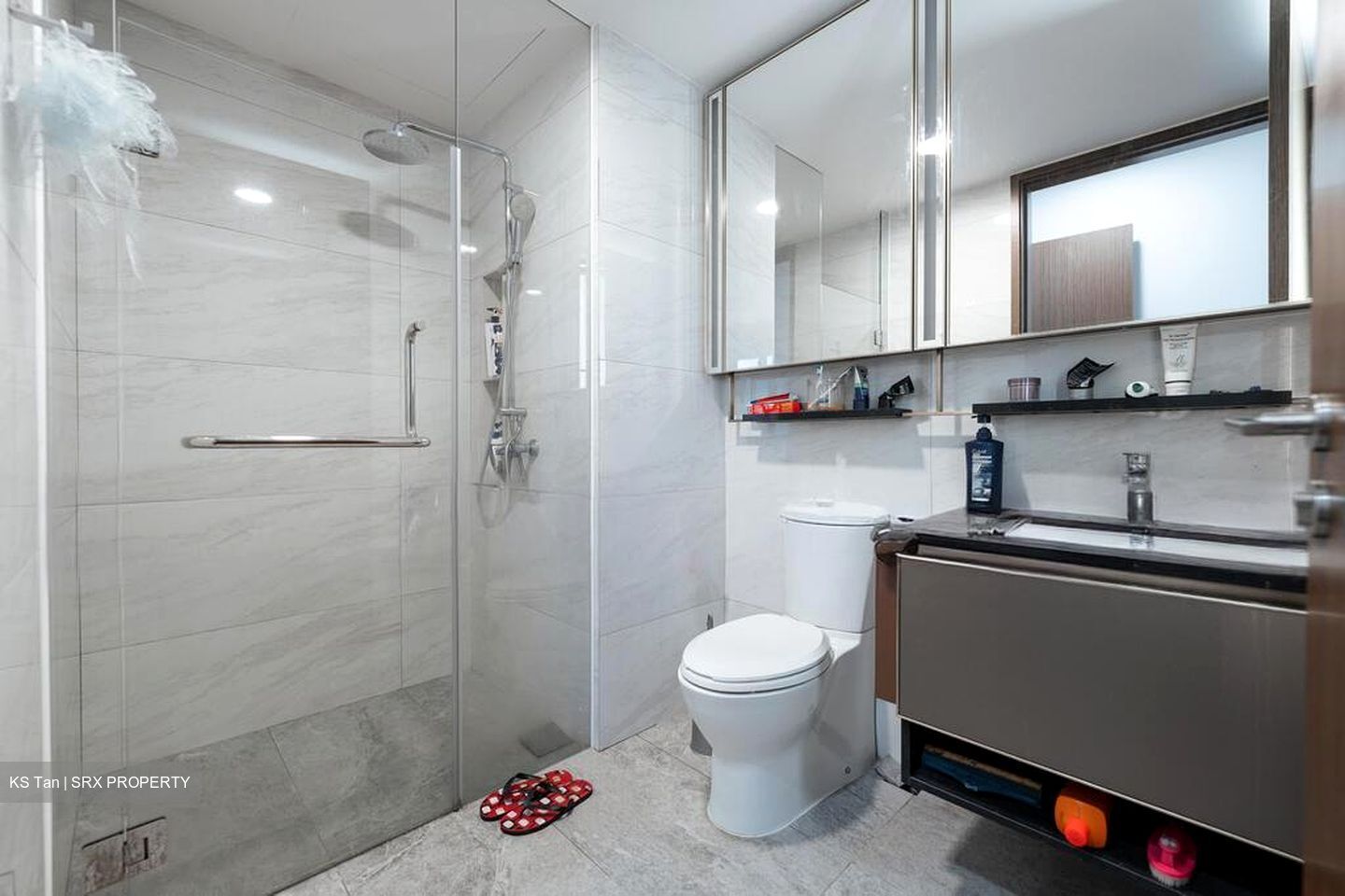 Normanton Park (D5), Apartment #498840051